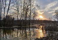 Природа в ЖК Мечта